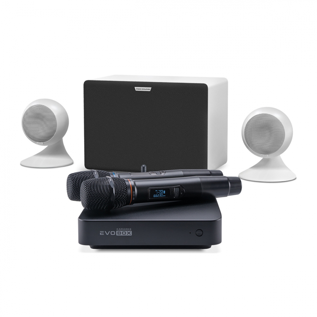 караоке-комплект EVOBOX Classic + EvoSound Sphere 2.1 в Приволжске