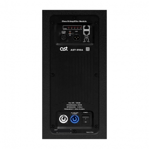 Активная акустическая система AST-310A в Приволжске