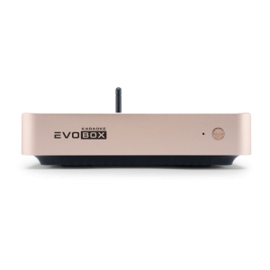 EVOBOX Classic караоке-система для дома в Приволжске