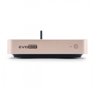 EVOBOX Plus караоке-система для дома в Приволжске