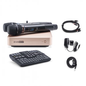 EVOBOX Plus караоке-система для дома в Приволжске
